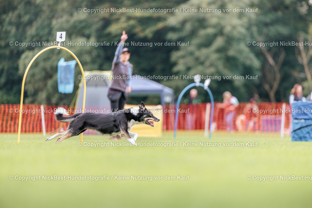 BSP Hoopers-H2-2026-Nickbest-Hundefotografie-TuS Komet Arsten e.V.-4958 | Dein Hund! Dein Moment! Deine Erinnerungen! Hundefotografie in Bremen Blumenthal. Ich fange die besonderen Momente deines Vierbeiners ein – ob Indoor mit Blitzanlage oder in der freien Natur. Sicher dir dein Moment und dein Termin für eure Erinnerungen.