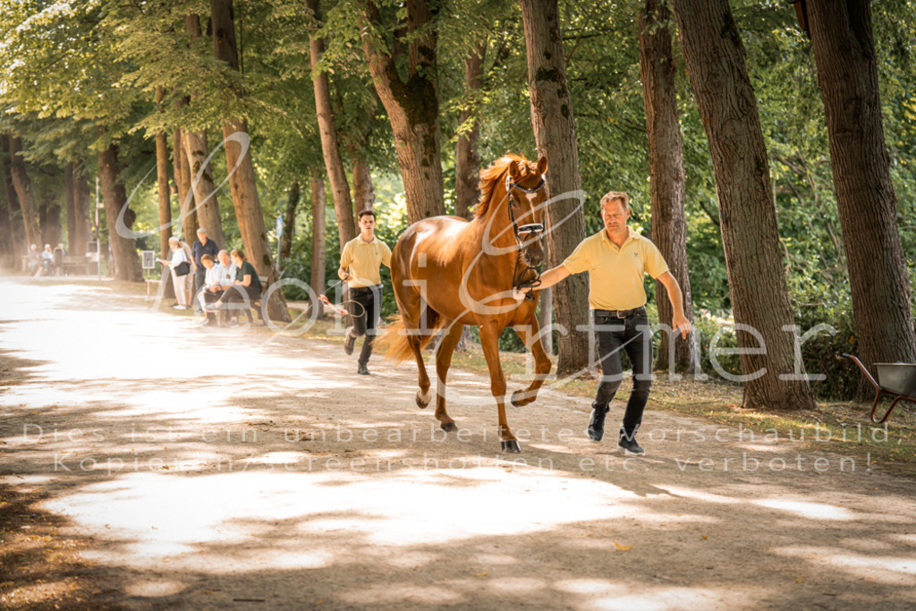 FrPfM00207 | Leoni Ertmer Photography - Realisiert mit Pictrs.com