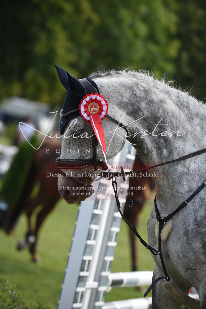 DSC_8979 | Pferde- und Turnierfotografie in Westsachsen. Pferdeportraits, Auftragszeichnungen und intuitive Kunst.