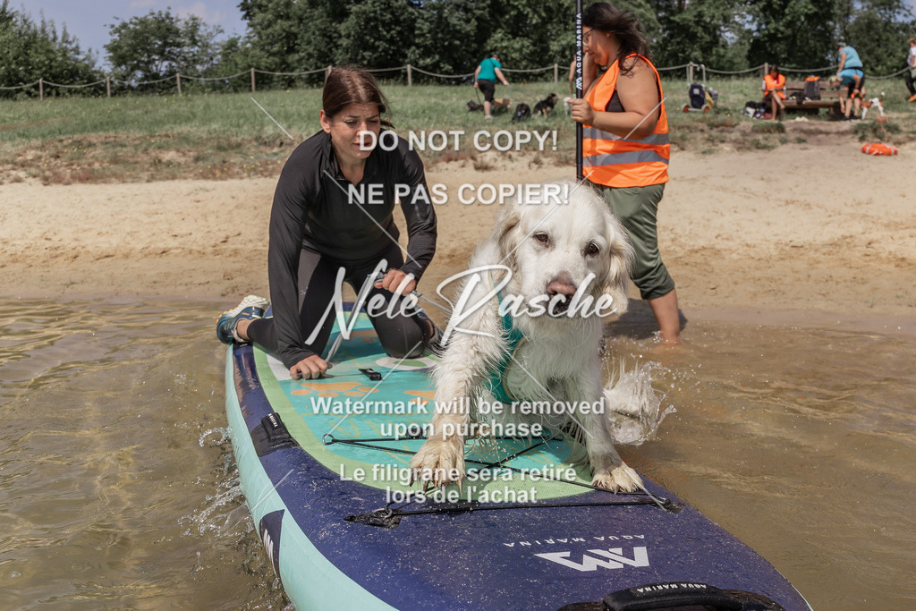 BUHU_SUP_669 | nelerasche