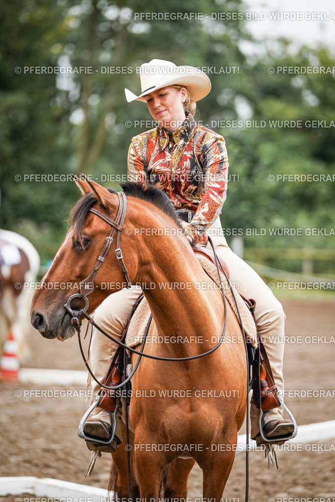 DSC03923 | Pferdegrafie