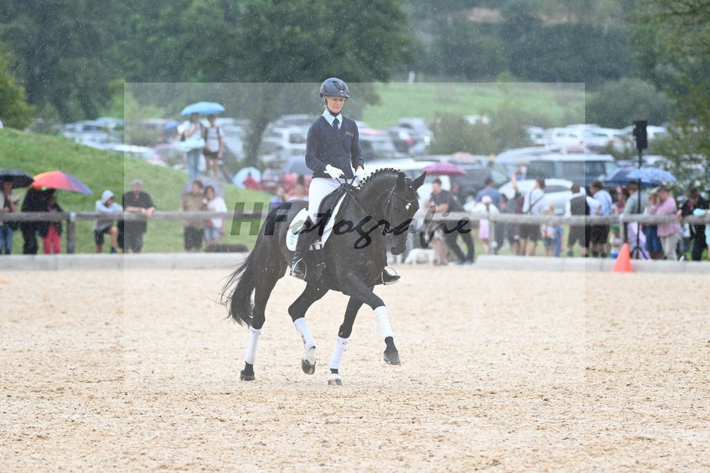 Sparten des Reitsports aus der eigenen Zucht_36240929 | hf-fotografie - Realisiert mit Pictrs.com