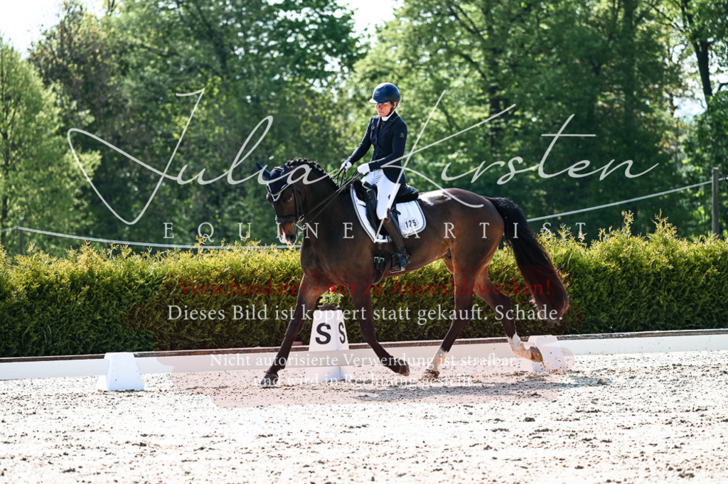 20230513_JK-Röhrsdorf-10-0432 | Pferde- und Turnierfotografie in Westsachsen. Pferdeportraits, Auftragszeichnungen und intuitive Kunst.