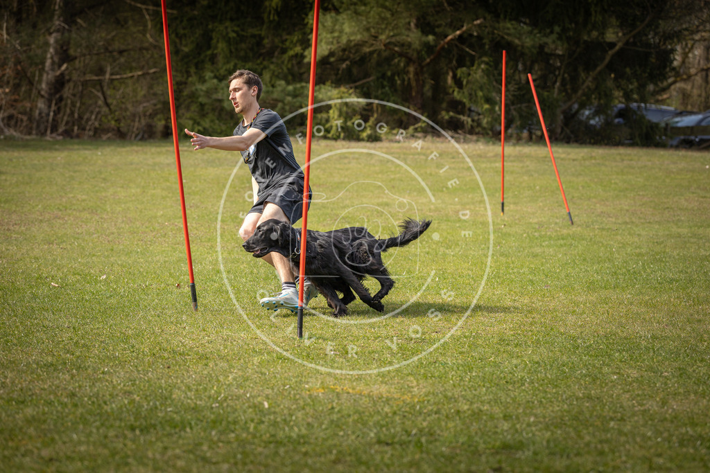 Pfotenfotografie_DV3A9772 | Hundefotografie, Tierfotograf, Pfotenfotografie, Fotoshooting Hund, Hunde Portrait, Hundesport, Hundeportraits, Heideshooting, Hunde, Sportfotograf, Hundefotograf, Turnierhundsport, THS,  - Realisiert mit Pictrs.com