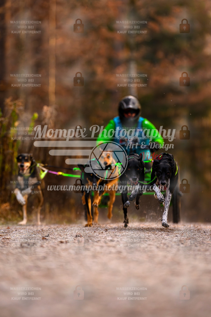 MompixPhotography_DM_AKDM_SO_2025_Wagen-19 | PayLife