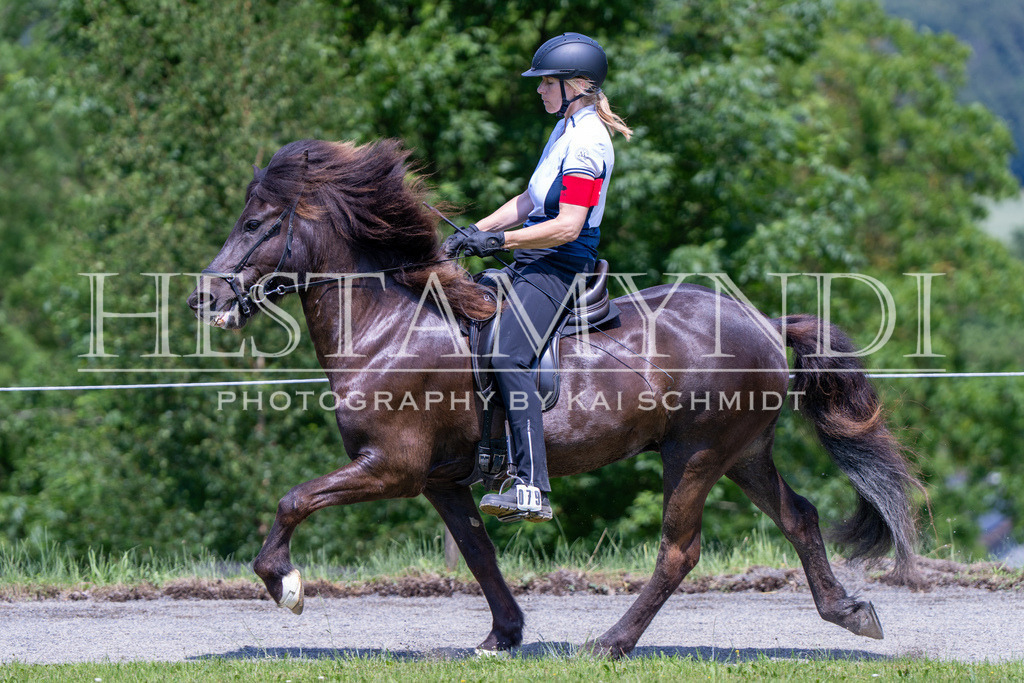 KAI03981 | Ihr sucht einen Fotografen für eure nächste OSI? Ich begleite auch euer Turnier für Islandpferde fotografisch.  - Realisiert mit Pictrs.com