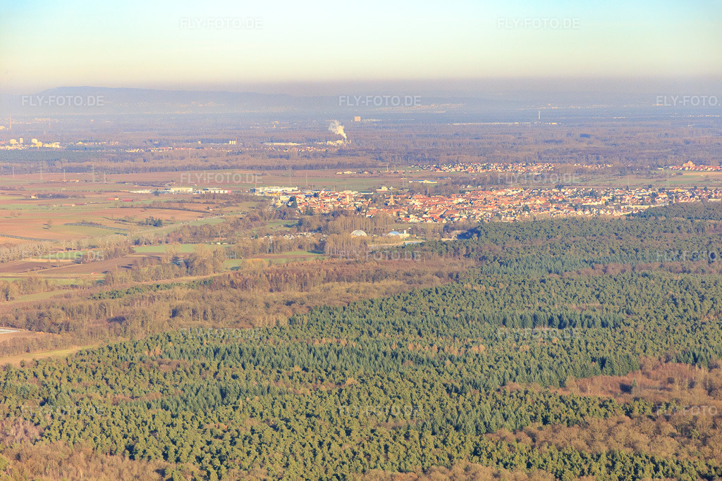 Luftbild: Stadtansicht hinterm Wald in Rülzheim im Bundesland Rheinland-Pfalz in Deutschland. Foto: IMG_076504.jpg vom 05.01.2015 durch Werner Riehm/FLY-FOTO.de