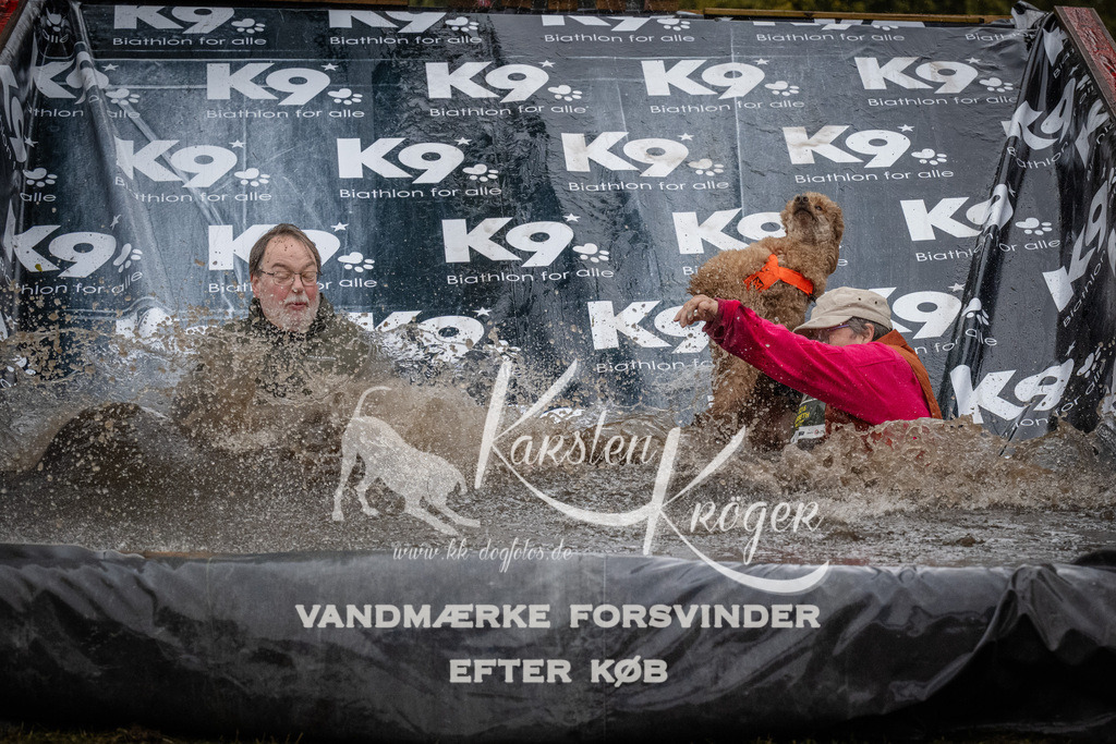 1136_ZZ93148 | kk-dogfotos