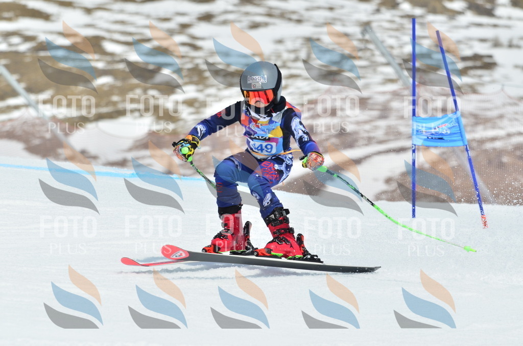 _ELE2652 | holidayphoto