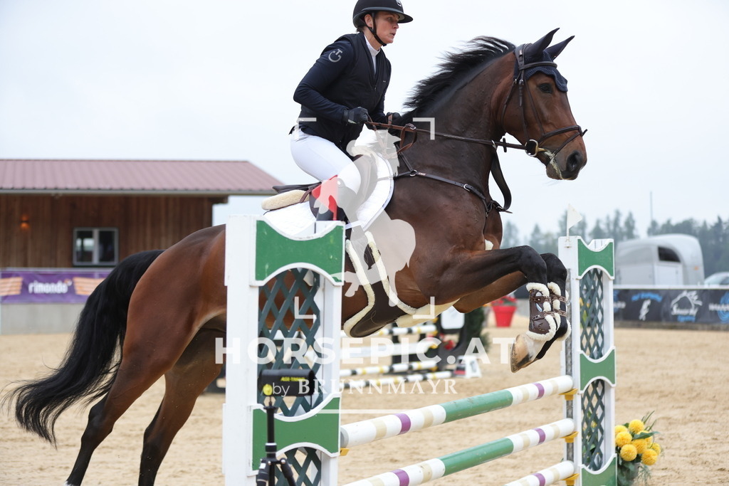 0P6A6244 | Willkommen bei Brunnmayr - Design & Fotografie – Ihrem Spezialisten für Reitturniere und Pferdeveranstaltungen in Oberösterreich, Salzburg und Bayern! Seit über 17 Jahren sind wir leidenschaftlich dabei.