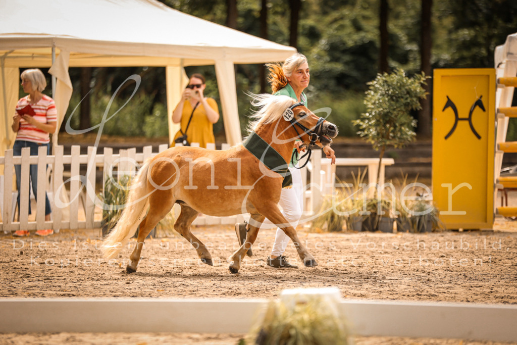 1.-2.Elite00036 | Leoni Ertmer Photography - Realisiert mit Pictrs.com