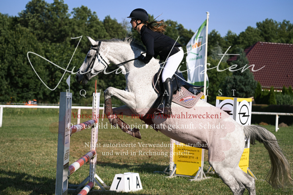 DSC_1744 | Pferde- und Turnierfotografie in Westsachsen. Pferdeportraits, Auftragszeichnungen und intuitive Kunst.