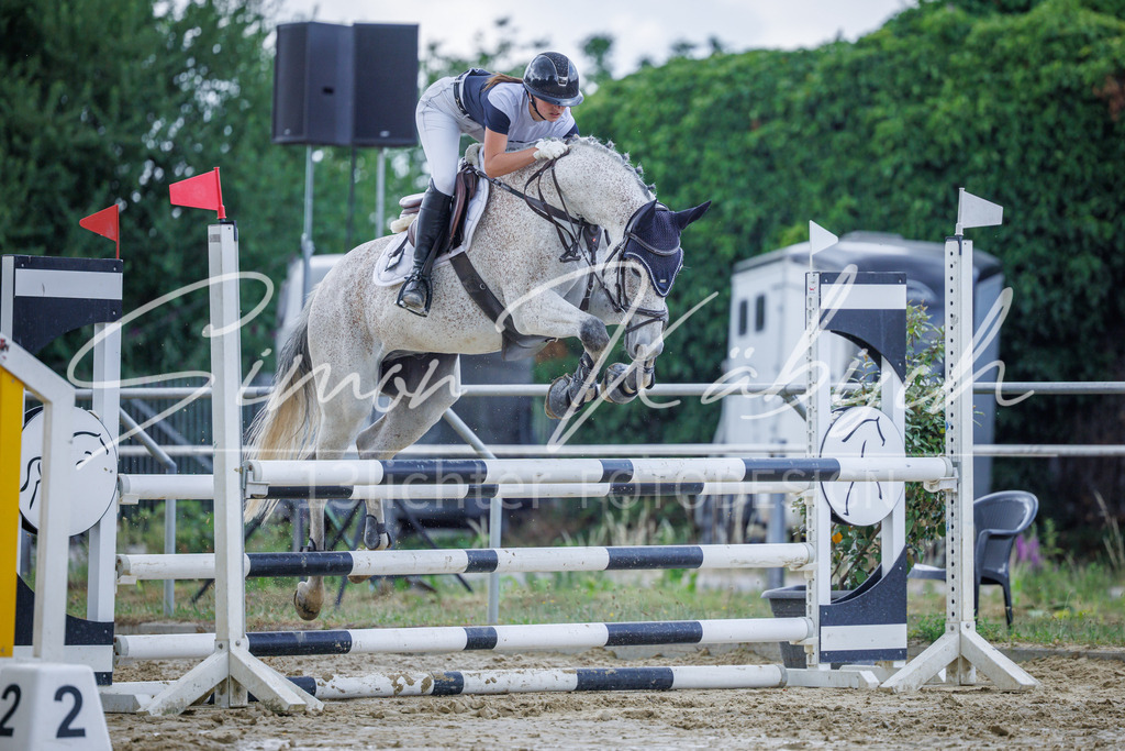 20260705-_3LI4497 | Tierfotografie Pferde, Hunde, Katzen, Haustiere.
Turnierfotografie Reitturniere, Reiten, Springreiten, Dressur in Hanau, dem Main-Kinzig-Kreis und dem Rhein-Main- Gebiet um Frankfurt