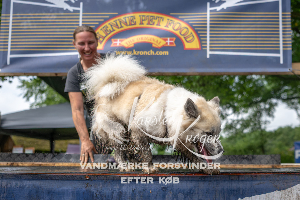 1006_ZZ94131 | kk-dogfotos