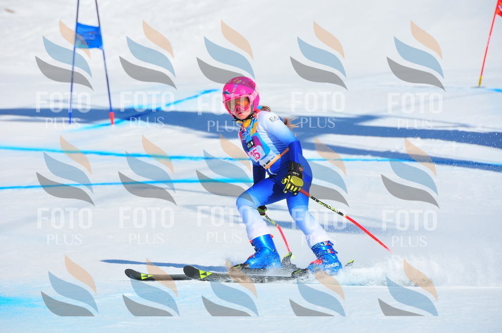 DSC_3969 | holidayphoto