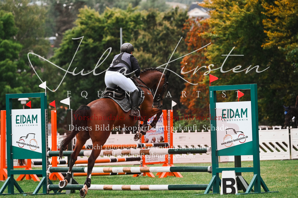 DSC_6583 | Pferde- und Turnierfotografie in Westsachsen. Pferdeportraits, Auftragszeichnungen und intuitive Kunst.