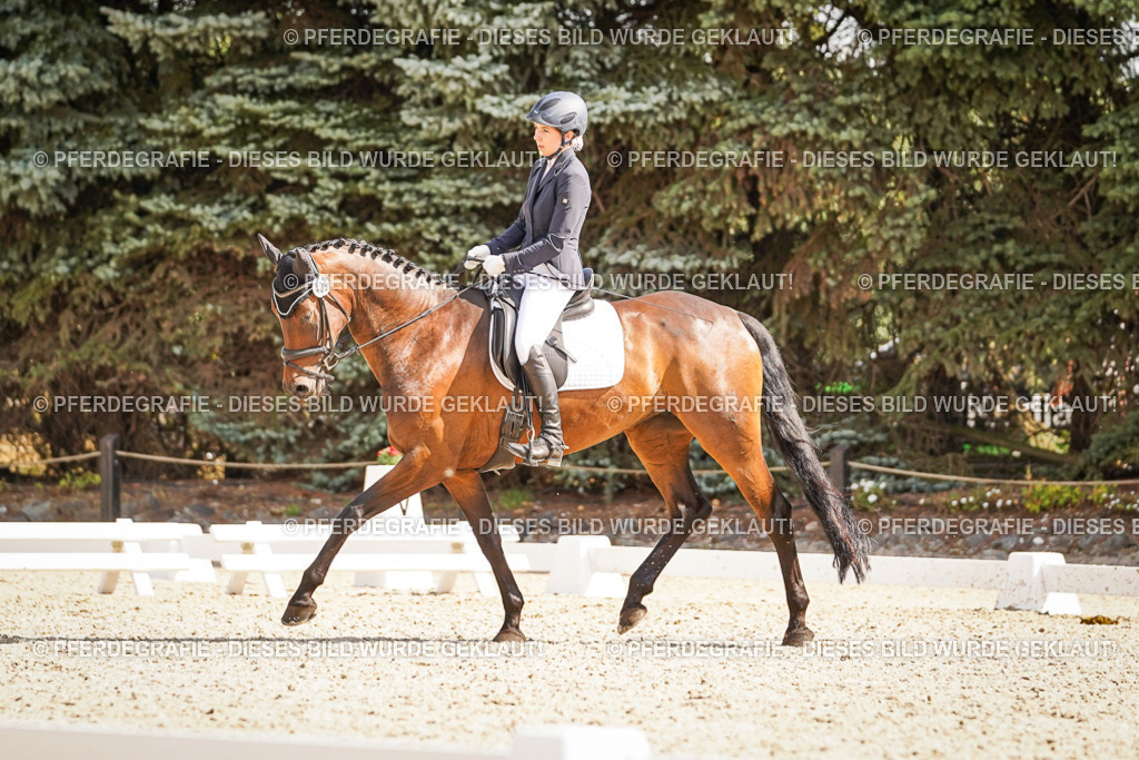 DSC00890 | Pferdegrafie