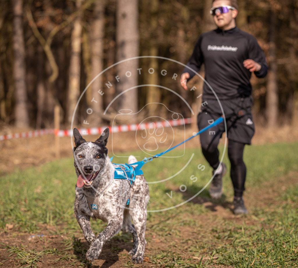 DV3A6241 | Hundefotografie, Tierfotograf, Pfotenfotografie, Fotoshooting Hund, Hunde Portrait, Hundesport, Hundeportraits, Heideshooting, Hunde, Sportfotograf, Hundefotograf, Turnierhundsport, THS,  - Realisiert mit Pictrs.com
