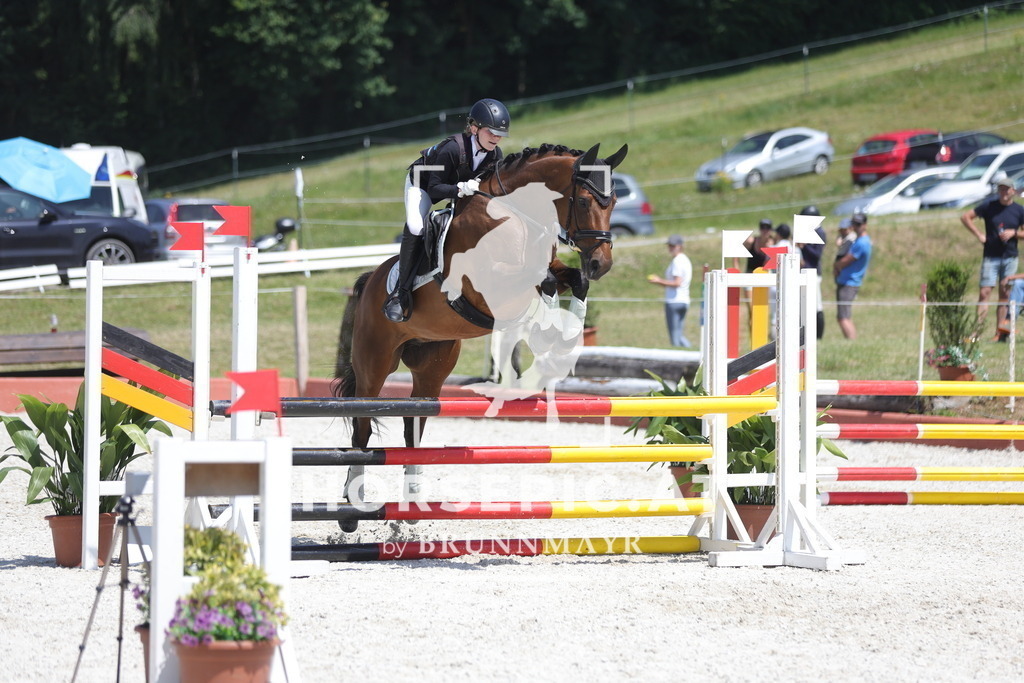 0P6A8600 | Willkommen bei Brunnmayr - Design & Fotografie – Ihrem Spezialisten für Reitturniere und Pferdeveranstaltungen in Oberösterreich, Salzburg und Bayern! Seit über 17 Jahren sind wir leidenschaftlich dabei.