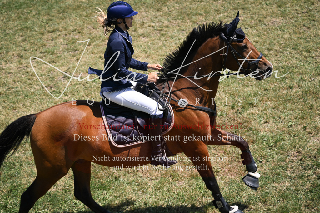 DSC_9936 | Pferde- und Turnierfotografie in Westsachsen. Pferdeportraits, Auftragszeichnungen und intuitive Kunst.