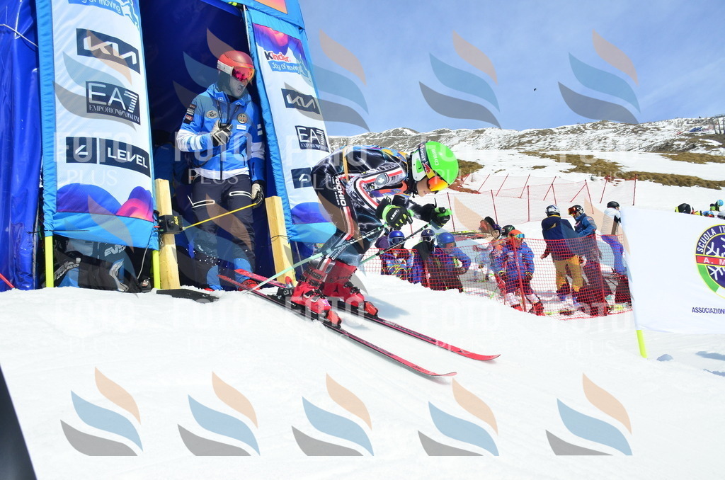 _ELE1411 | holidayphoto