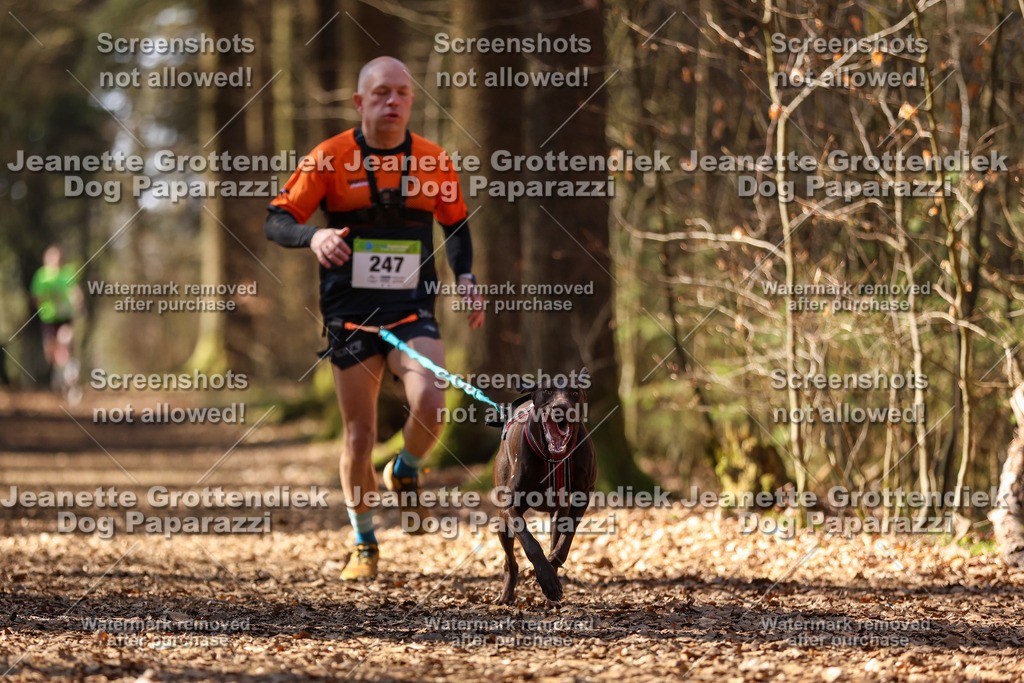 Dog Paparazzi - VCC26-1087 | Dog Paparazzi Jeanette Grottendiek Fotografie & Videografie - Realisiert mit Pictrs.com