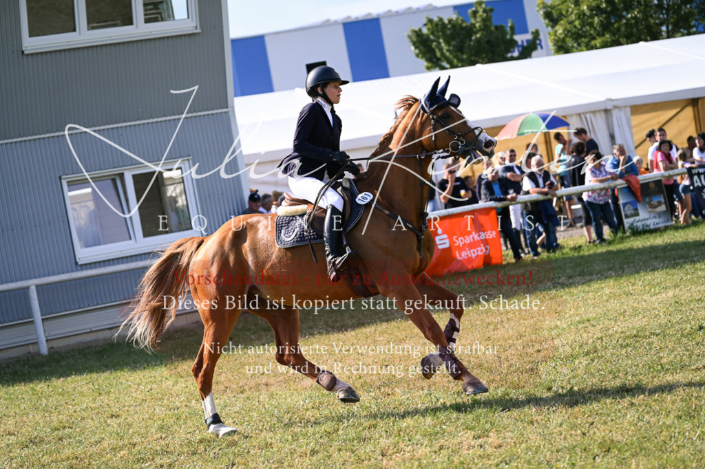 DSC_1202 | Pferde- und Turnierfotografie in Westsachsen. Pferdeportraits, Auftragszeichnungen und intuitive Kunst.