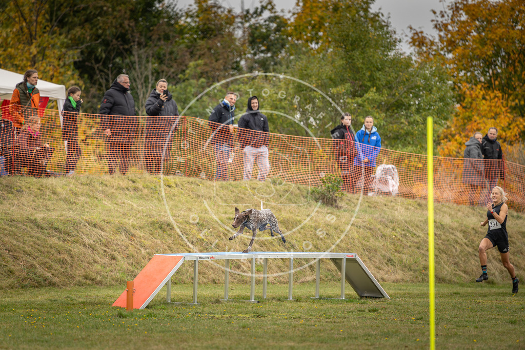 Pfotenfotografie_DV3A4737 | Hundefotografie, Tierfotograf, Pfotenfotografie, Fotoshooting Hund, Hunde Portrait, Hundesport, Hundeportraits, Heideshooting, Hunde, Sportfotograf, Hundefotograf, Turnierhundsport, THS,  - Realisiert mit Pictrs.com