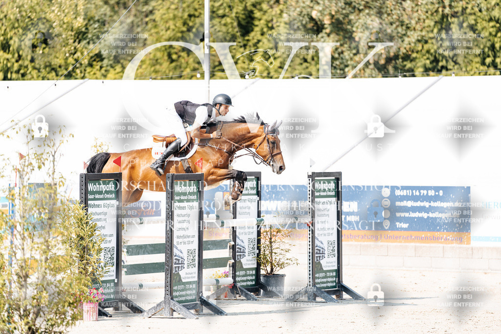 CK902114 | Turnierfotografie Pferdefotografie Trier Rheinland-Pfalz Pferdesport Reitsport Tierfotografie Sportfotografie Pferdevideo Pferdevideografie Equestrianvideography equestrianphotography  - Realisiert mit Pictrs.com