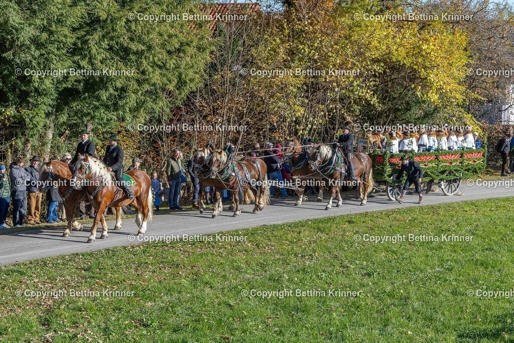 LBT25-230 | foto-bettina-krinner - Realisiert mit Pictrs.com