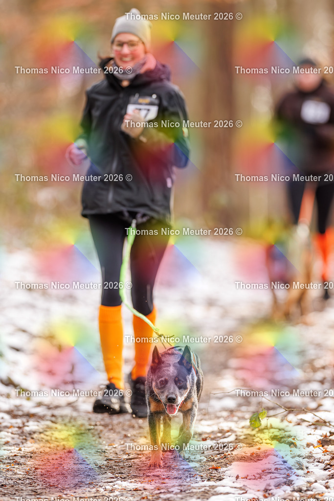 Thomas_Nico_Meuter(C)_223A9254 | Bild von Thomas Nico Meuter - Realisiert mit Pictrs.com