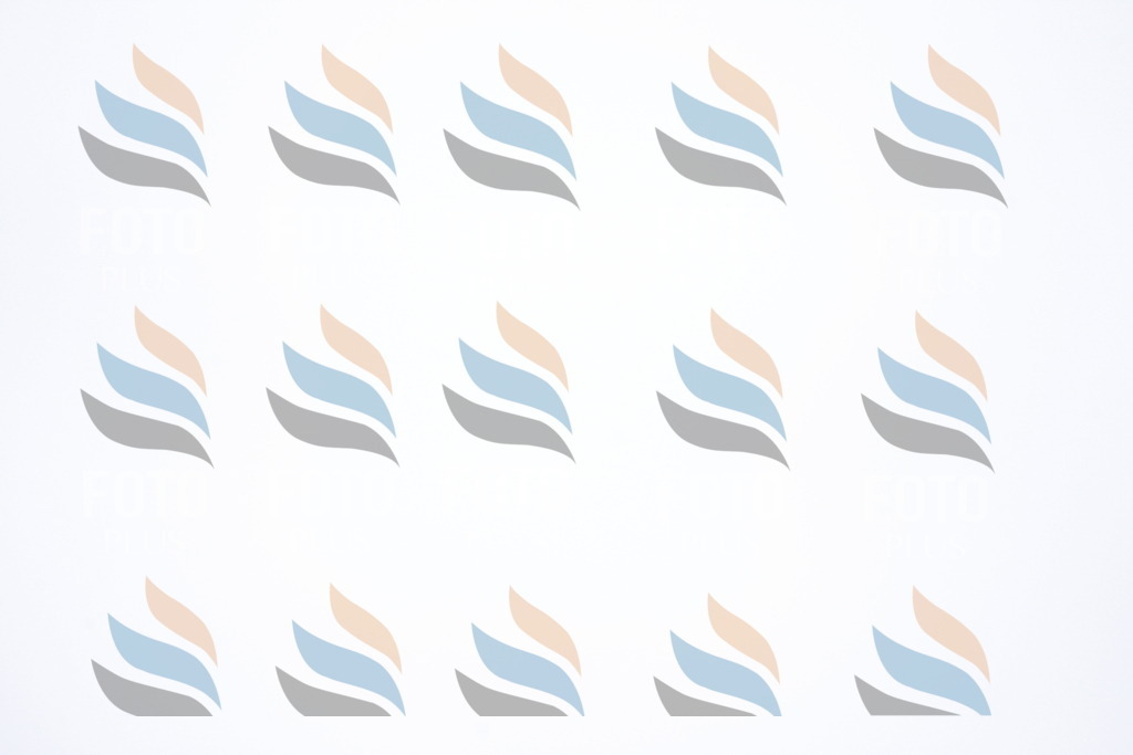 D7294 | holidayphoto