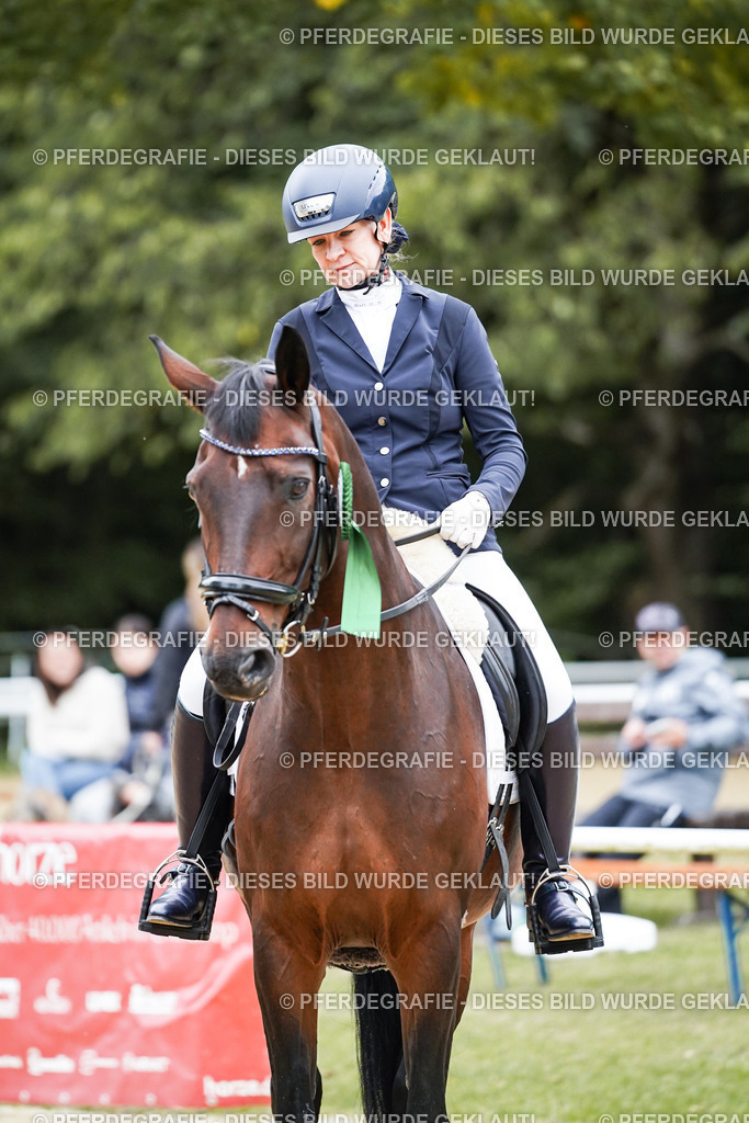 DSC02434 | Pferdegrafie