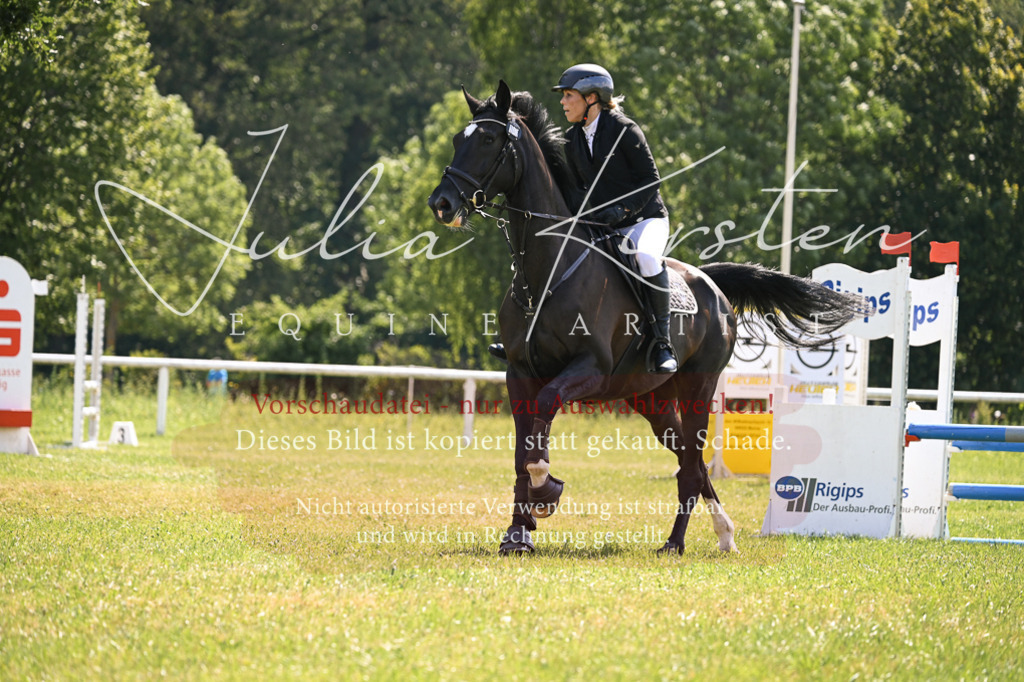 DSC_8946 | Pferde- und Turnierfotografie in Westsachsen. Pferdeportraits, Auftragszeichnungen und intuitive Kunst.