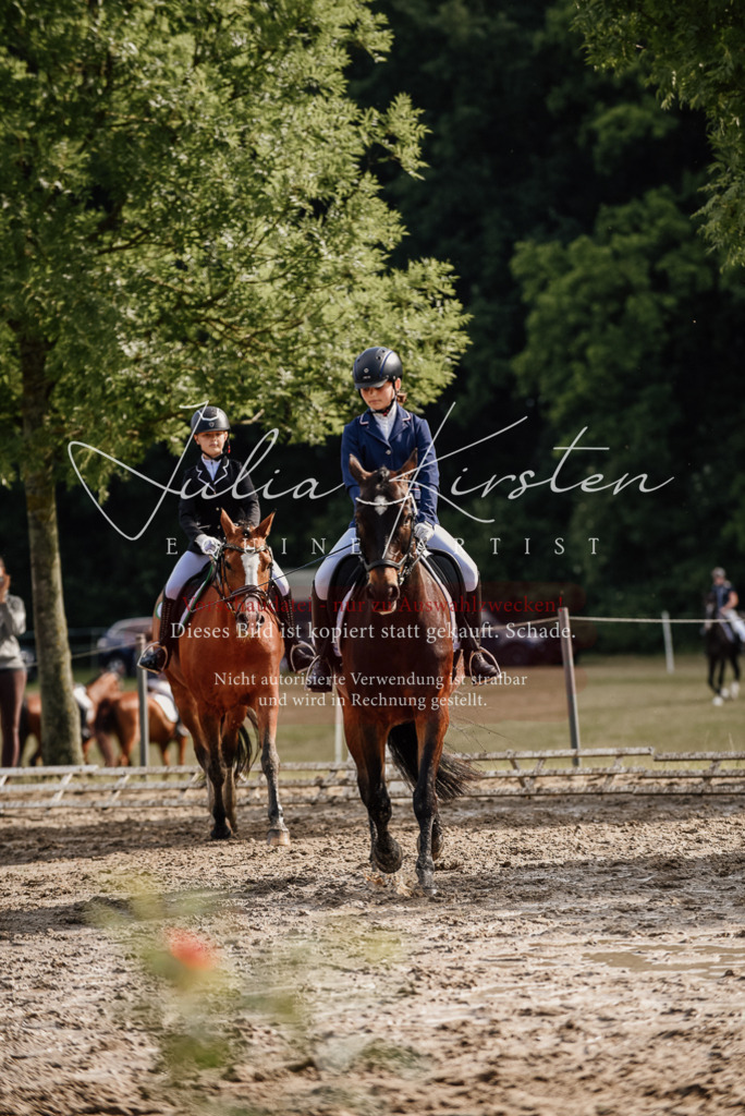 DSC_9128 | Pferde- und Turnierfotografie in Westsachsen. Pferdeportraits, Auftragszeichnungen und intuitive Kunst.