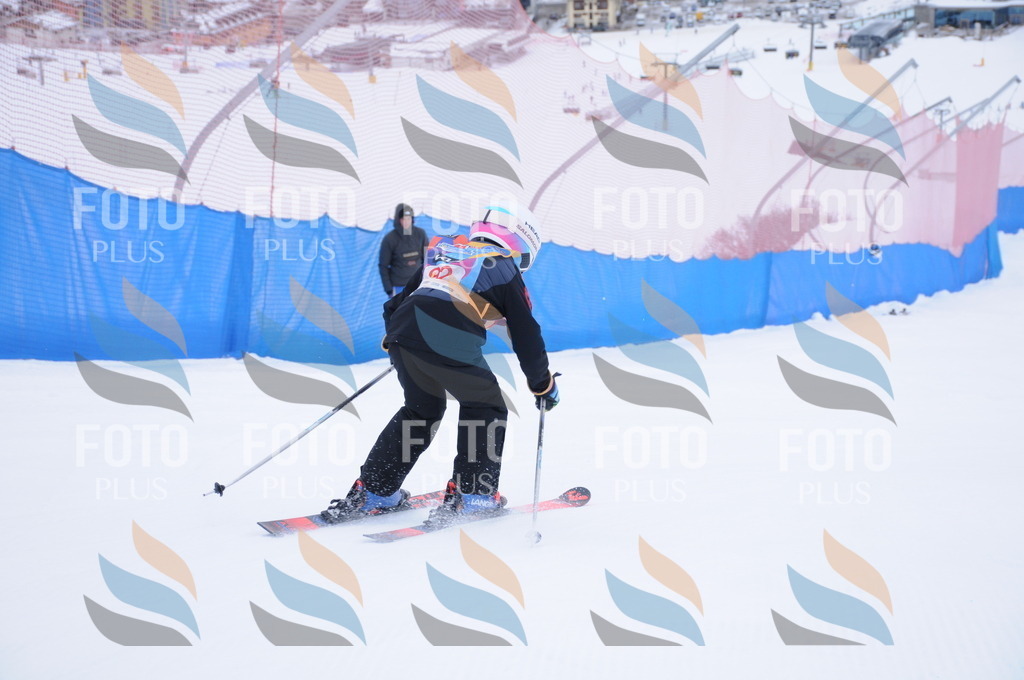 DSC_8257 | holidayphoto