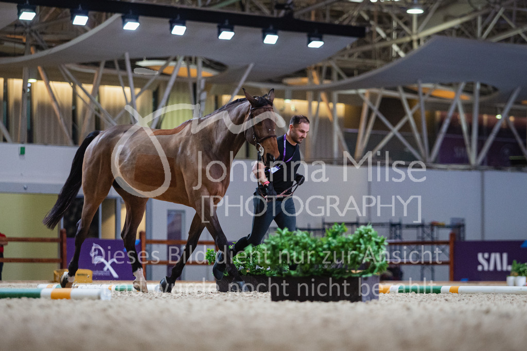 230215_Riyadh_Vet-Check-103 | Deine schönsten Turniermomente als professionelle Fotos! Entdecke hochwertige Pferdesport-Fotografie im Online-Shop. Jetzt Fotos finden & bestellen!