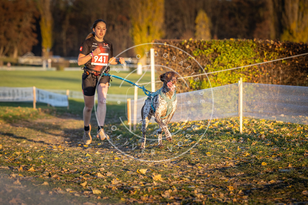 CaniXpix_DV3A5405 | Hundefotografie, Tierfotograf, Pfotenfotografie, Fotoshooting Hund, Hunde Portrait, Hundesport, Hundeportraits, Heideshooting, Hunde, Sportfotograf, Hundefotograf, Turnierhundsport, THS,  - Realisiert mit Pictrs.com