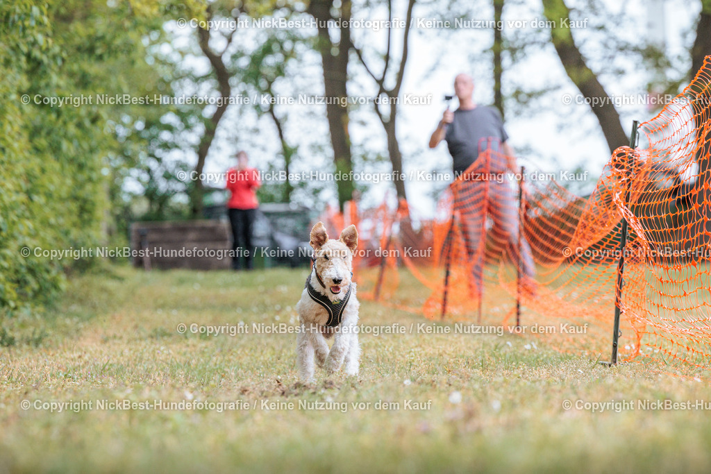 Sage Hunderennen Frühlingsfest-2026-Nickbest-Hundefotografie-0616 | Dein Hund! Dein Moment! Deine Erinnerungen! Hundefotografie in Bremen Blumenthal. Ich fange die besonderen Momente deines Vierbeiners ein – ob Indoor mit Blitzanlage oder in der freien Natur. Sicher dir dein Moment und dein Termin für eure Erinnerungen.