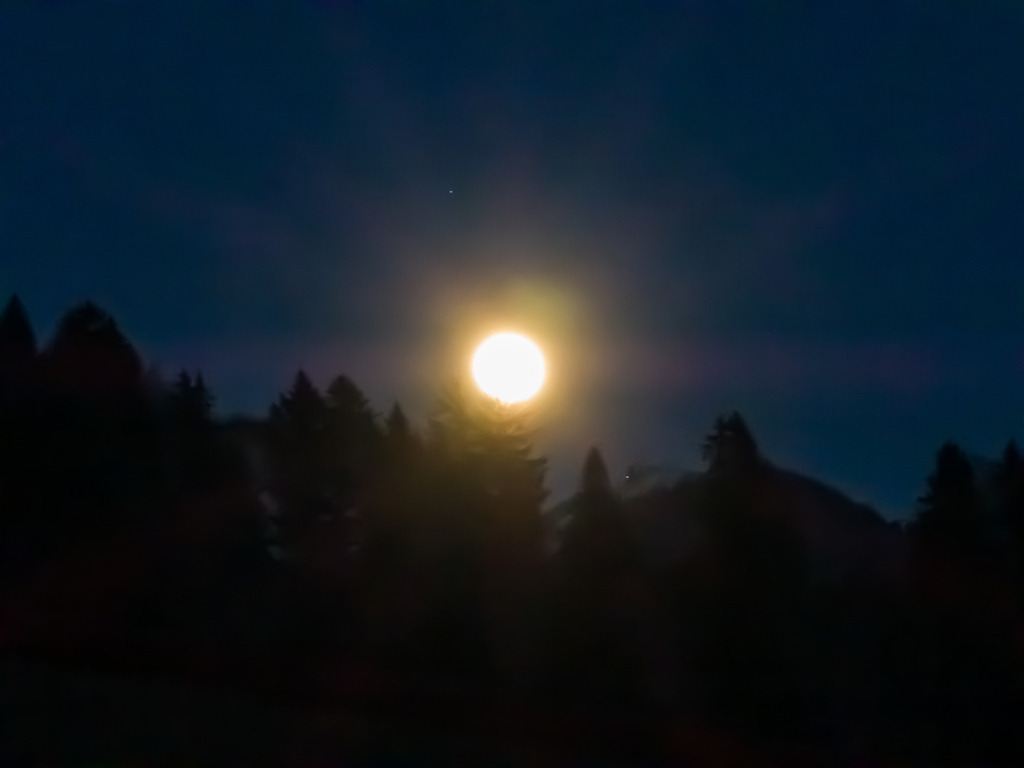 PSX_20230405_233652 | mtkfoto_ - Realisiert mit Pictrs.com