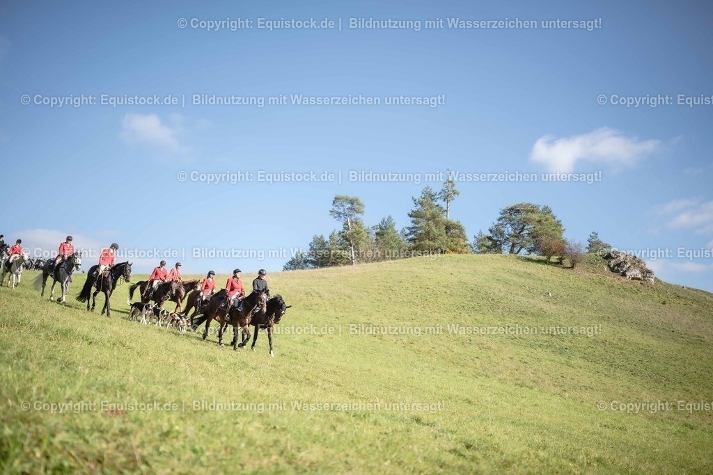 20251011_Jagd-Marbach_0550 | Foto: Thomas Hartig