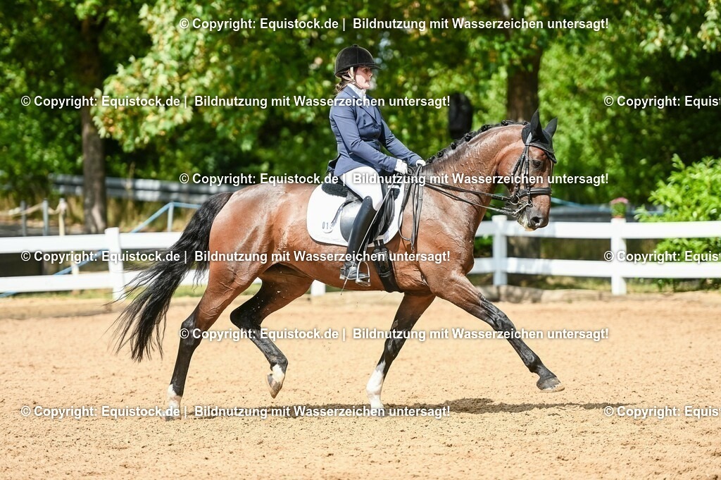 20230716_01_Dressurprüfung Kl.M_0196 | equistock