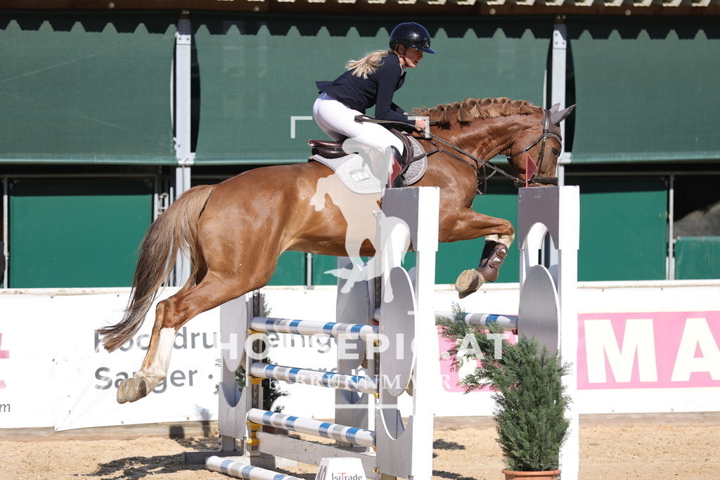 0P6A0349 | Willkommen bei Brunnmayr - Design & Fotografie – Ihrem Spezialisten für Reitturniere und Pferdeveranstaltungen in Oberösterreich, Salzburg und Bayern! Seit über 17 Jahren sind wir leidenschaftlich dabei.