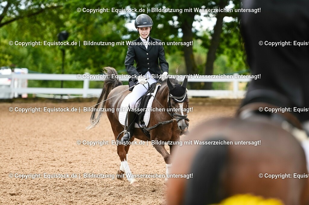 20230716_10-2_Reiter-WB Schritt - Trab - Galopp_0063 | equistock