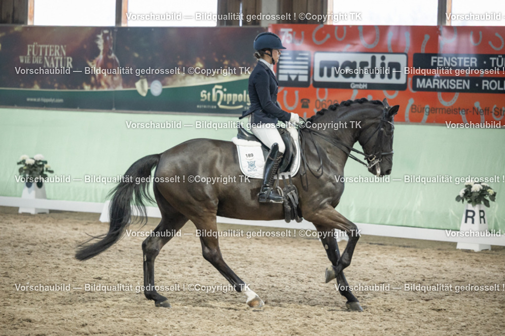 _D5A3530 | Emotionale Pferde- & People-Fotografie rund um Heidelberg, Leimen & Umgebung. Natürliche Fotos von Pferd, Mensch & Familie. Jetzt Termin sichern!