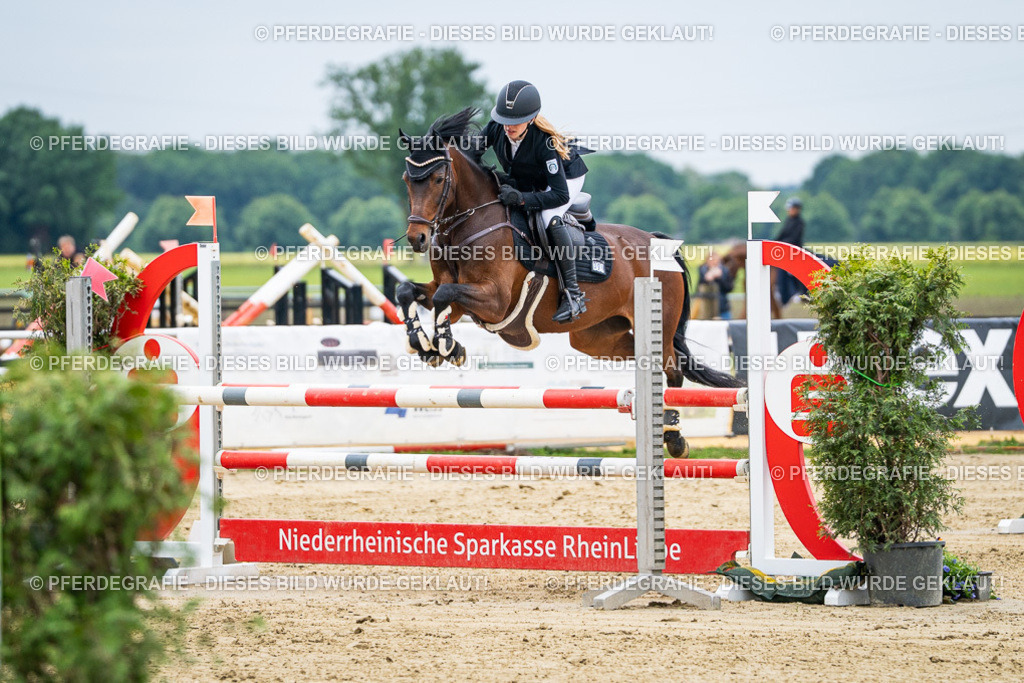 DSC06421 | Pferdegrafie