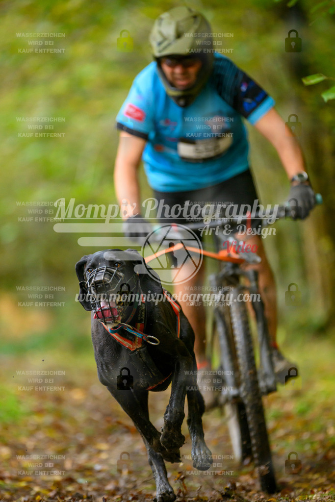 MompixPhotography_20TSB_E1_Bike-41 | PayLife