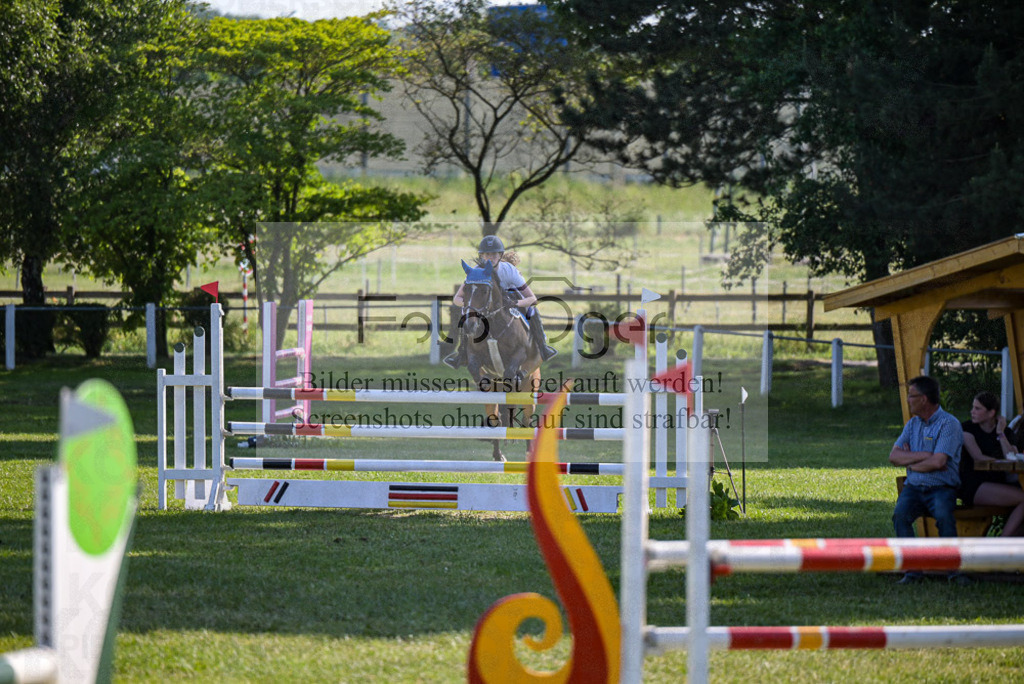 Reitturnier Voxtrup | Entdecke hochwertige Reitturnierfotos von Foto Oger. Professionell, emotional und authentisch – jetzt Lieblingsmomente im Shop bestellen.Deutschlandweite Turnierfotografie. - Realisiert mit Pictrs.com