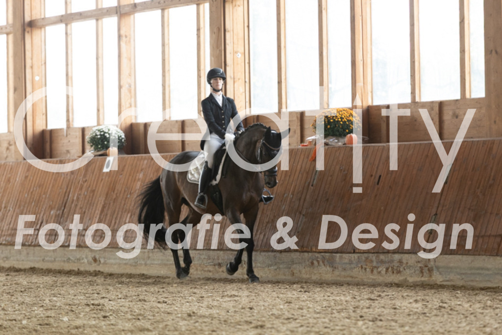 IMG_3350 | Creatify Fotografie