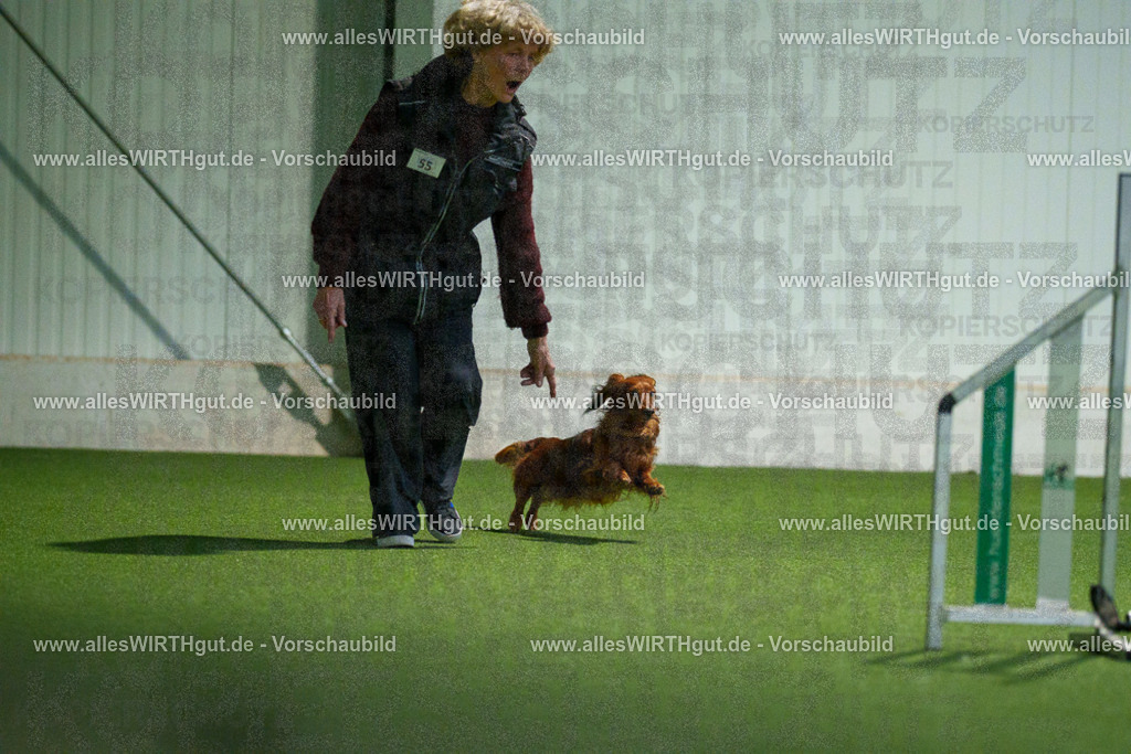 7R506894 | Professionelle Tierfotografie in Mönchengladbach von Daniel Wirth (allesWIRTHgut). Liebevolle & natürliche Bilder von Hunden & Katzen für unvergessliche Erinnerungen.